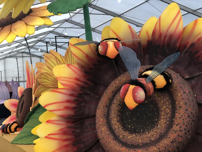 Cabalgata Reyes Palma